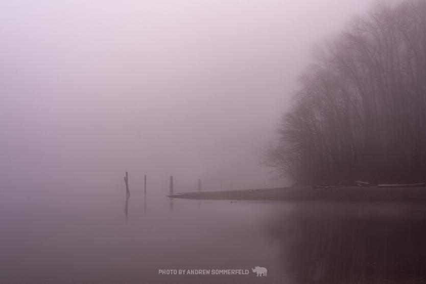 Purple Stillness by Andrew Sommerfeld