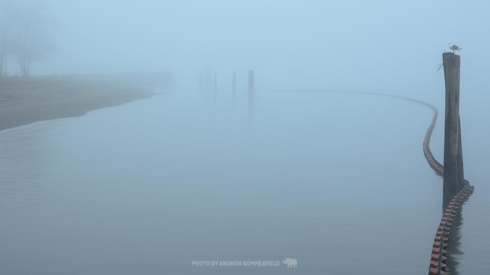 Good Morning, Barnet Fog (1 of 2) by Andrew Sommerfeld