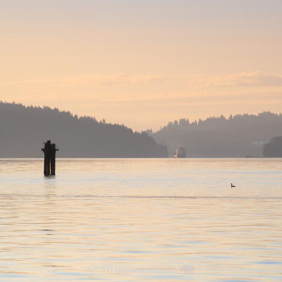 Good Morning, Early Haze by Andrew Sommerfeld