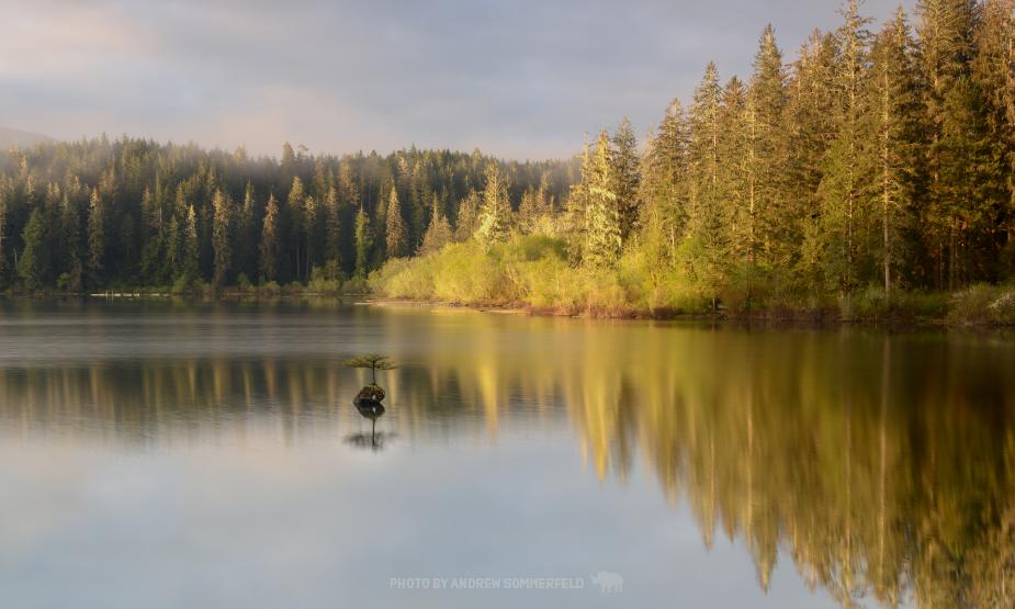 Good Morning, Fairy Lake by Andrew Sommerfeld