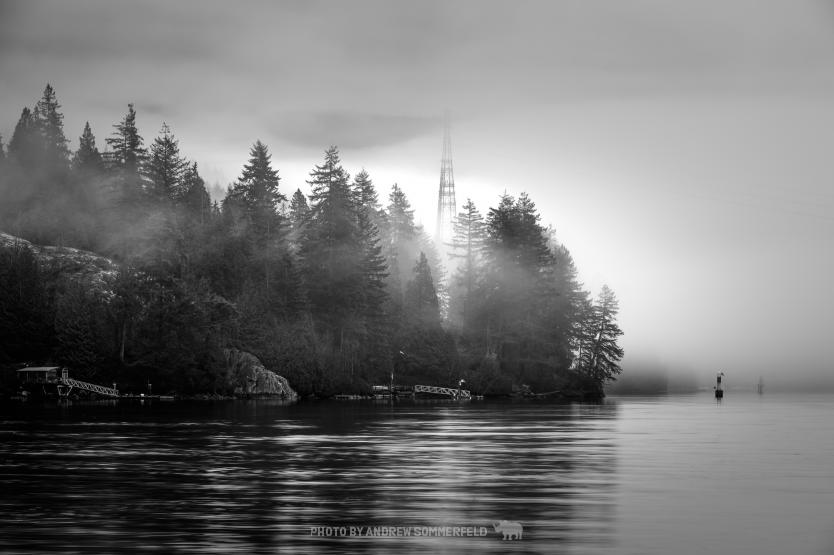 Good Morning, Tempting Fog by Andrew Sommerfeld